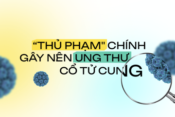 HPV LÀ NGUYÊN NHÂN CHÍNH CỦA GẦN NHƯ 100% CA UNG THƯ CỔ TỬ CUNG